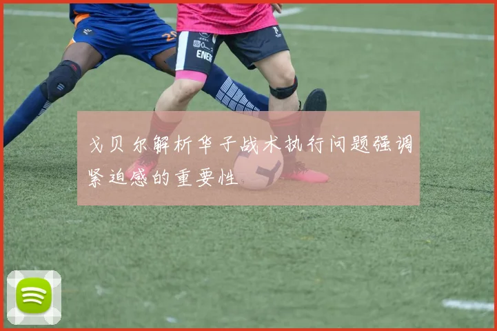 戈贝尔解析华子战术执行问题强调紧迫感的重要性